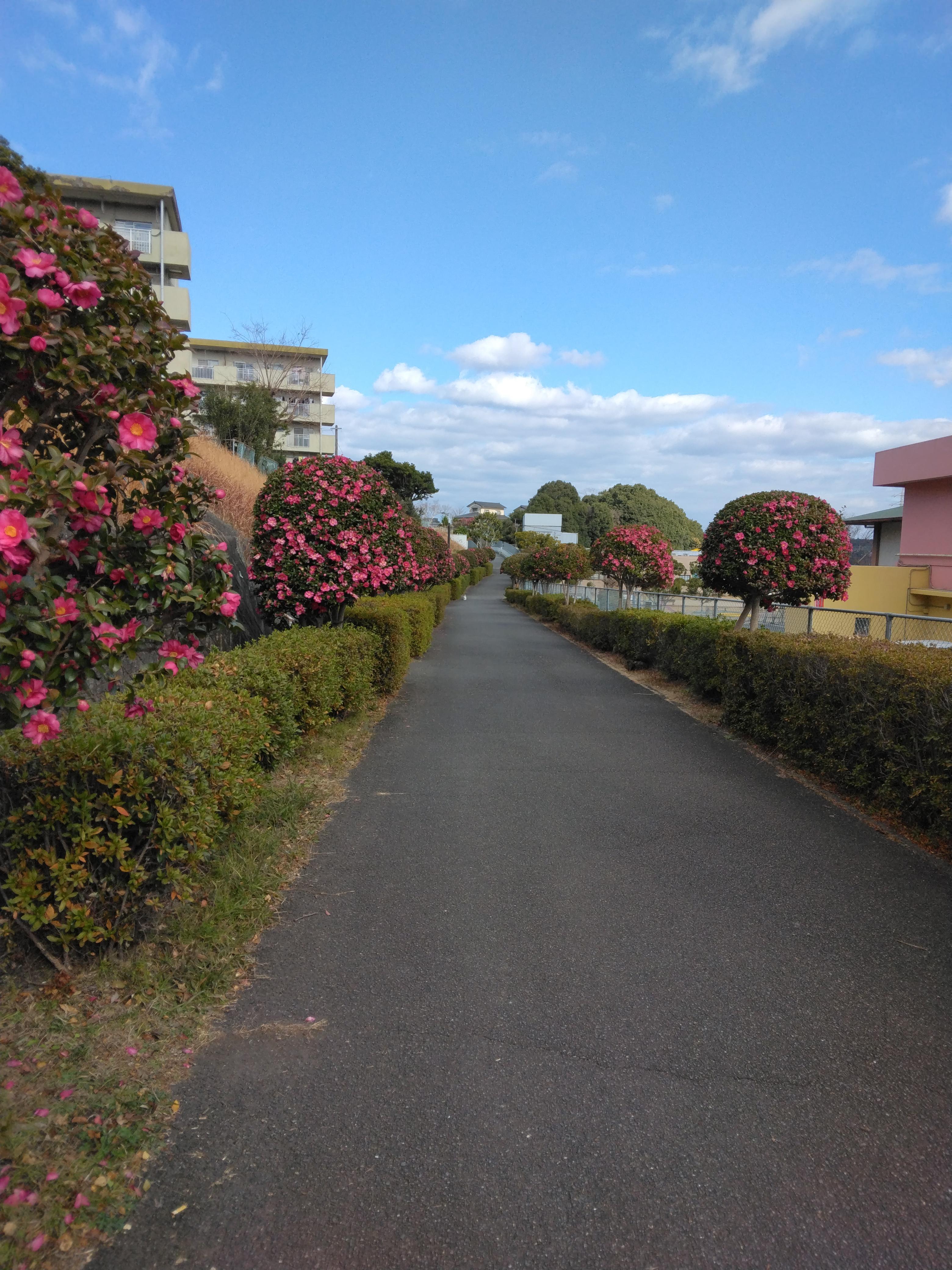 遊歩道